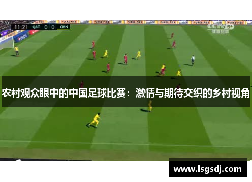 农村观众眼中的中国足球比赛：激情与期待交织的乡村视角
